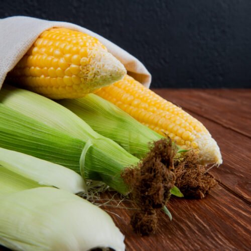 Maïs Bio