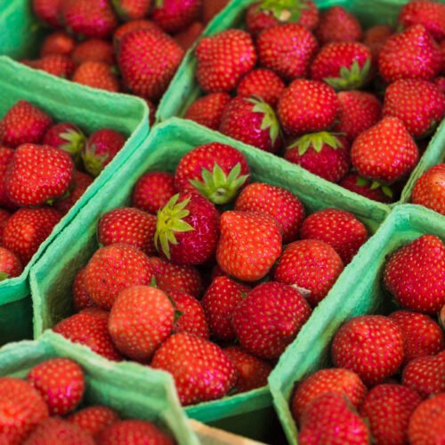 Fraises Bio
